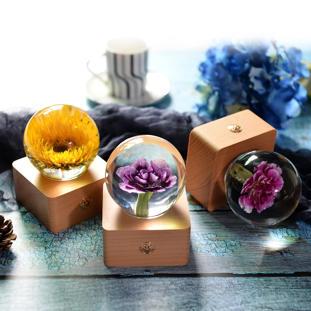 Unique Hot Item Novelty Gifts 2024 Trends New Years innovative Product Ideas Real Flower Night Light Holiday Festival Gift Sets