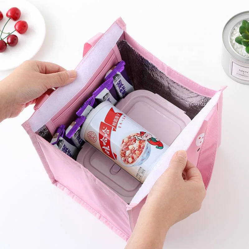 Cute Cartoon Thermal Insulated Student Tote Lunch Pouch
