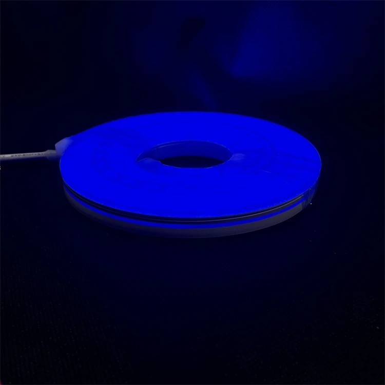 Customization Best Price High Quality Led Neon RGB IC 12V Rgb Led Neon Flex Strip Light For Ceiling