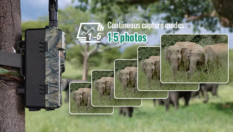 Free APP Control 24MP Night Vision Digital Camera For Hunting Outdoor Animal Camouflage Camera