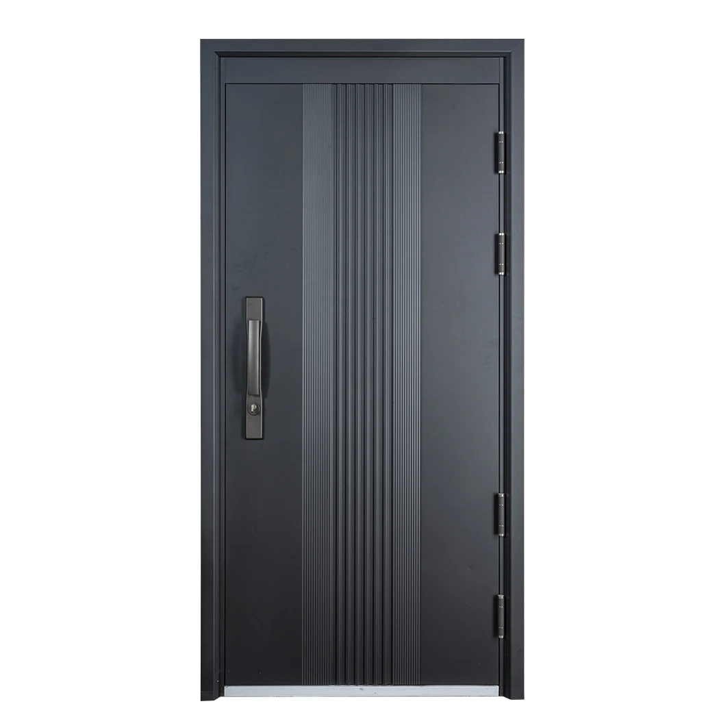 TECHTOP стальная защитная дверь внешняя цветная