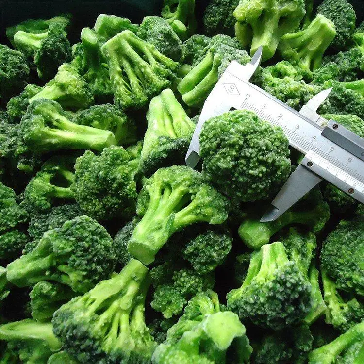 Wholesale IQF fresh frozen broccoli with competitive price 2023 New Crop top