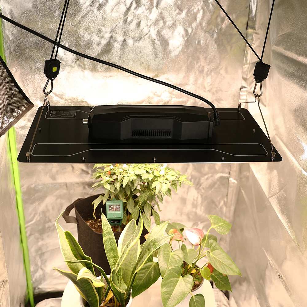In Stocks, 301b 301h 240W 480W Dimmable Led Grow Light Panel for Hobby Growers