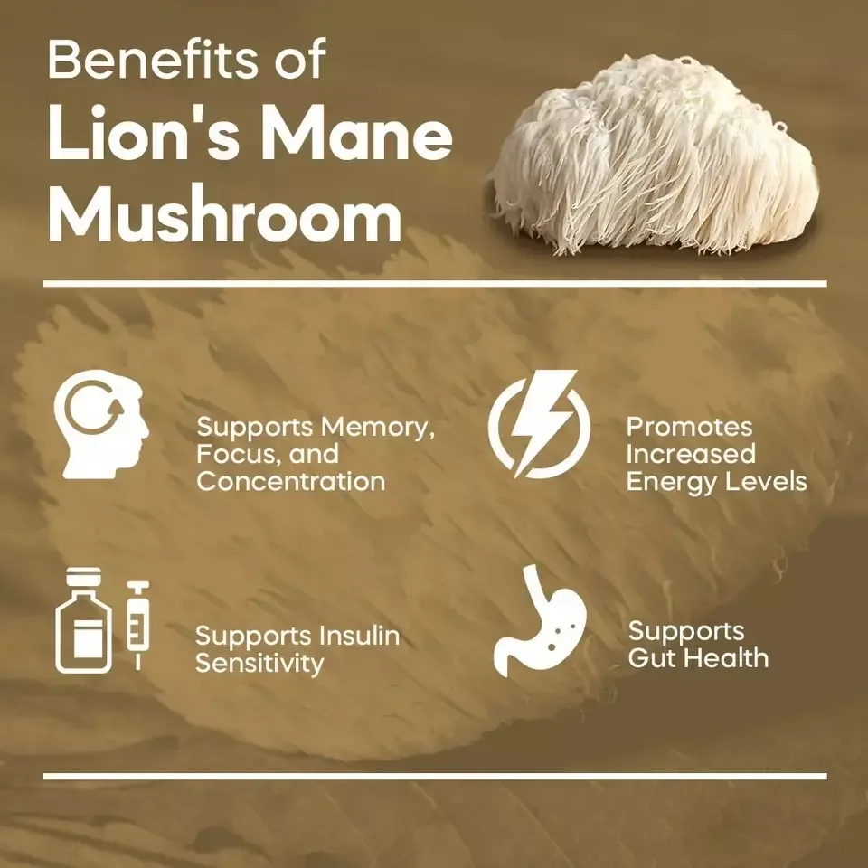 Private Label Nootropic Ginkgo biloba Bacopa monnieri Vegan DHA Brain Booster Supplements Mushroom capsules