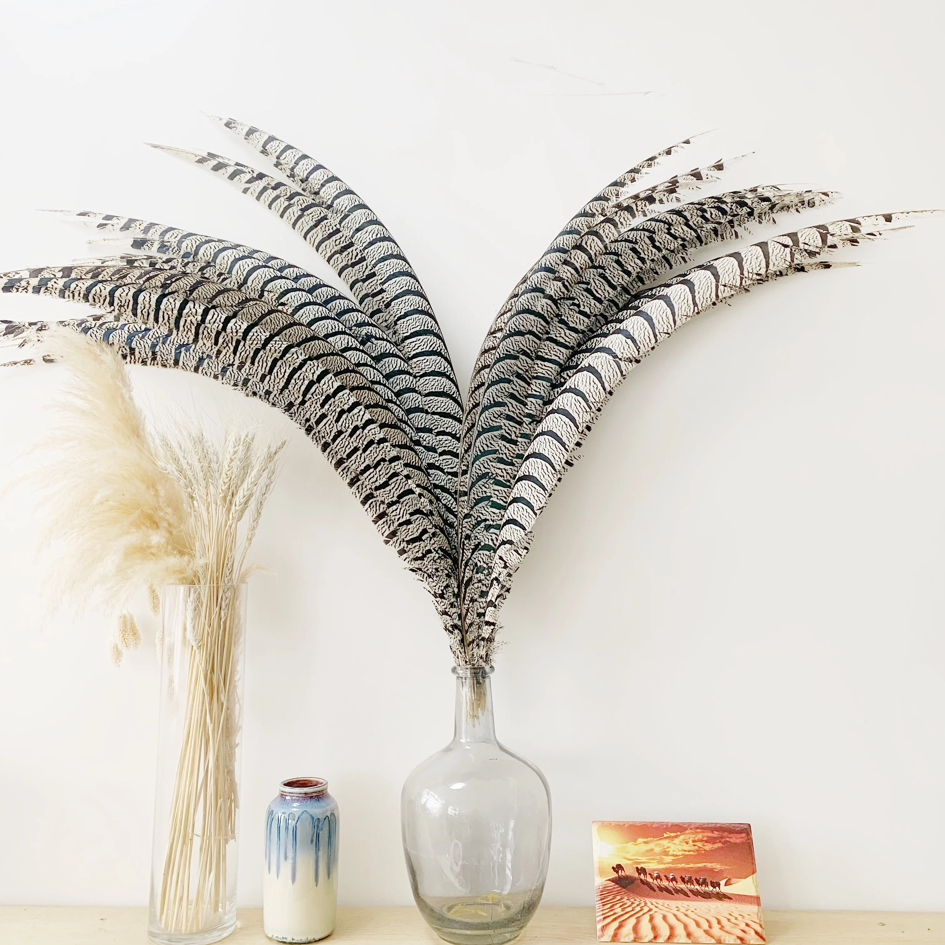 Natural Lady Amherst Pheasant Tails Center Feathers