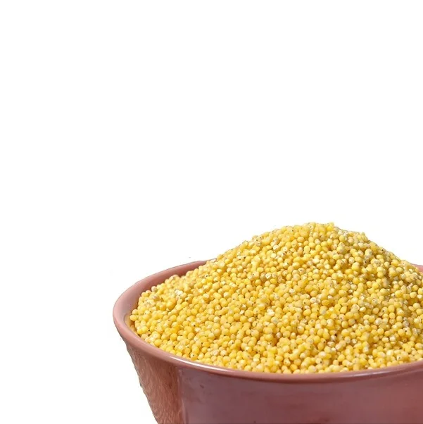 Оптовая продажа без ГМО органическое полированное зерно проса желтое