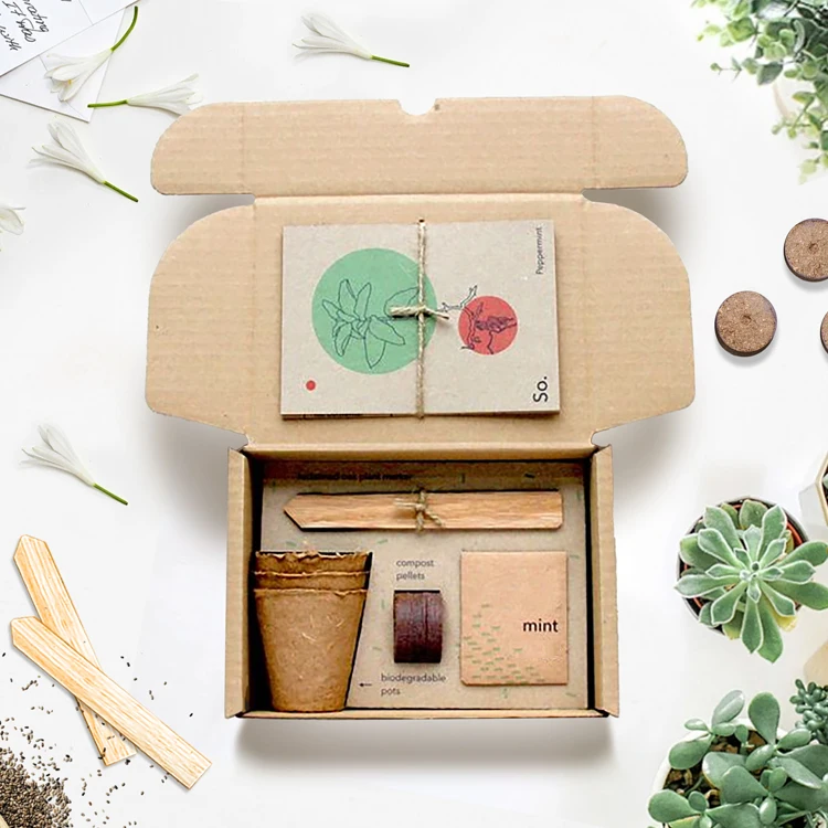 ECO-Friendly Plant Grow Kit Gardening Gift Set Easily Stater Grow Your Own Flower for Bees