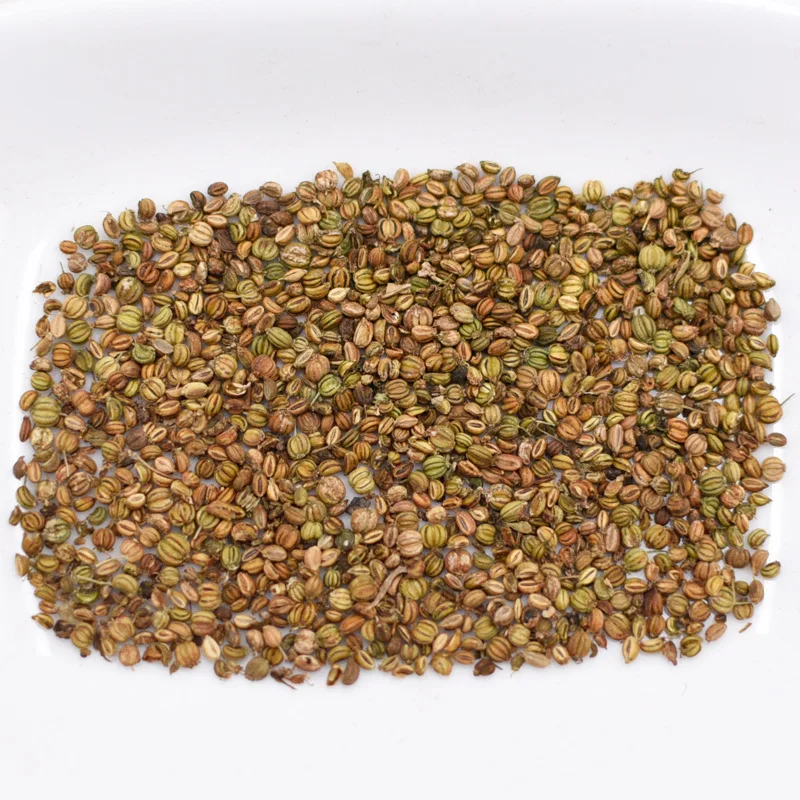 China single spices&herbs supplier Wholesale food grade quality herb dill Western Food seasonings mammoth dill seeds dukat dill