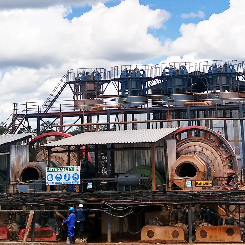 100Tpd Nickel Flotation Plant With Maximum Feeding Size Nickel Production Line With Best Sales Service