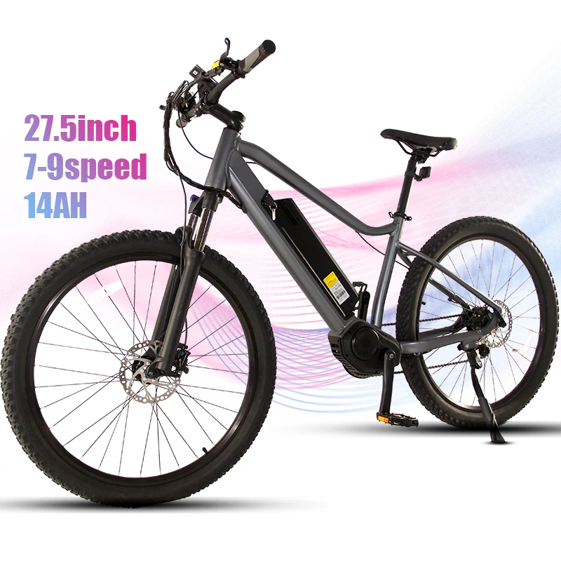 Ip 65 City Electric Bike 500W With 48V14ah Battery