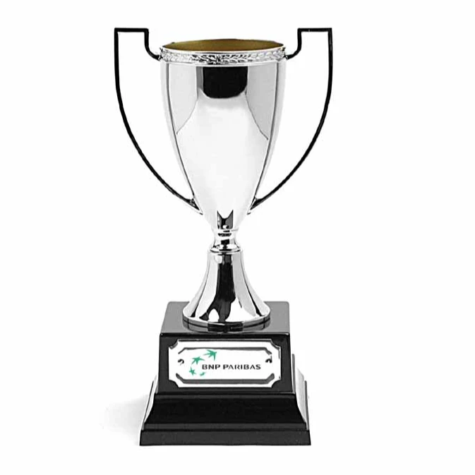 Silver Metal Trophy Cup Black Plastic Base Trophy Cup Award