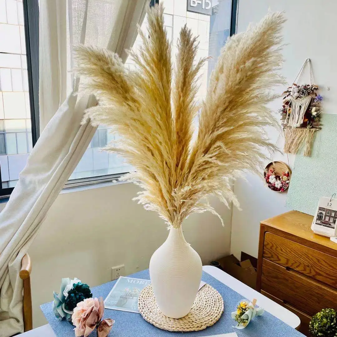 Natural Large Fluffy Beige Dried Pampas Grass for Wedding Decoration