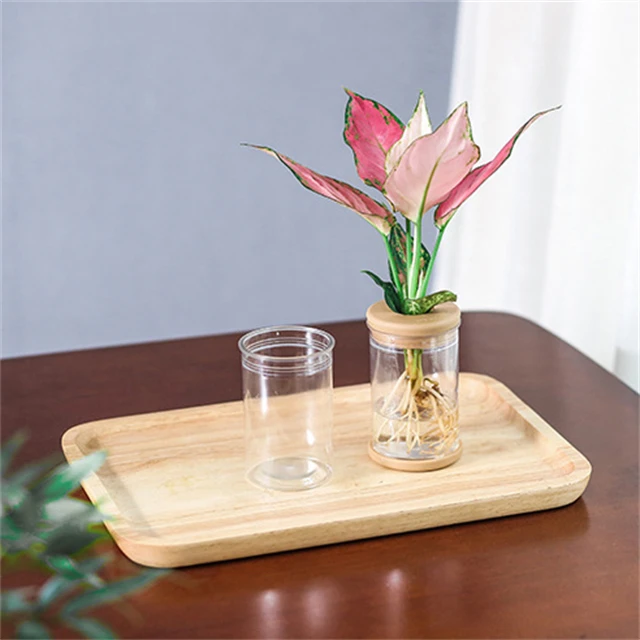 J823 Home Office Automatic Water Absorption Transparent Green Plant Flowerpots Plastic Visible Hydroponic Flower Pot