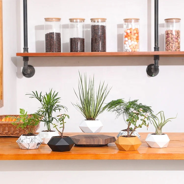 Magnetic Levitation Floating Flower Pot Bonsai Plant Pots Vap Advertising Products Wedding Decoration Promotion as Welcome Gifts