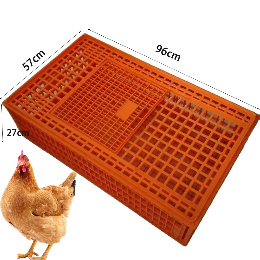 LMC-01 Chicken Coop Accessories Plastic Chicken Transport Crate for Live Poultry with Door
