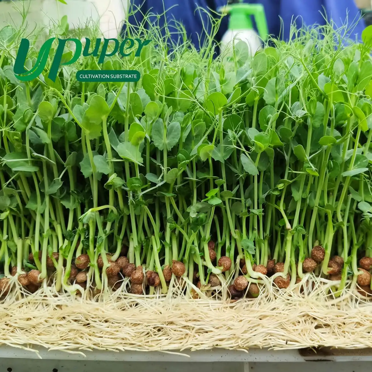 UPuper vertical farming plants growing micro mats hydroponic grow pads for microgreens
