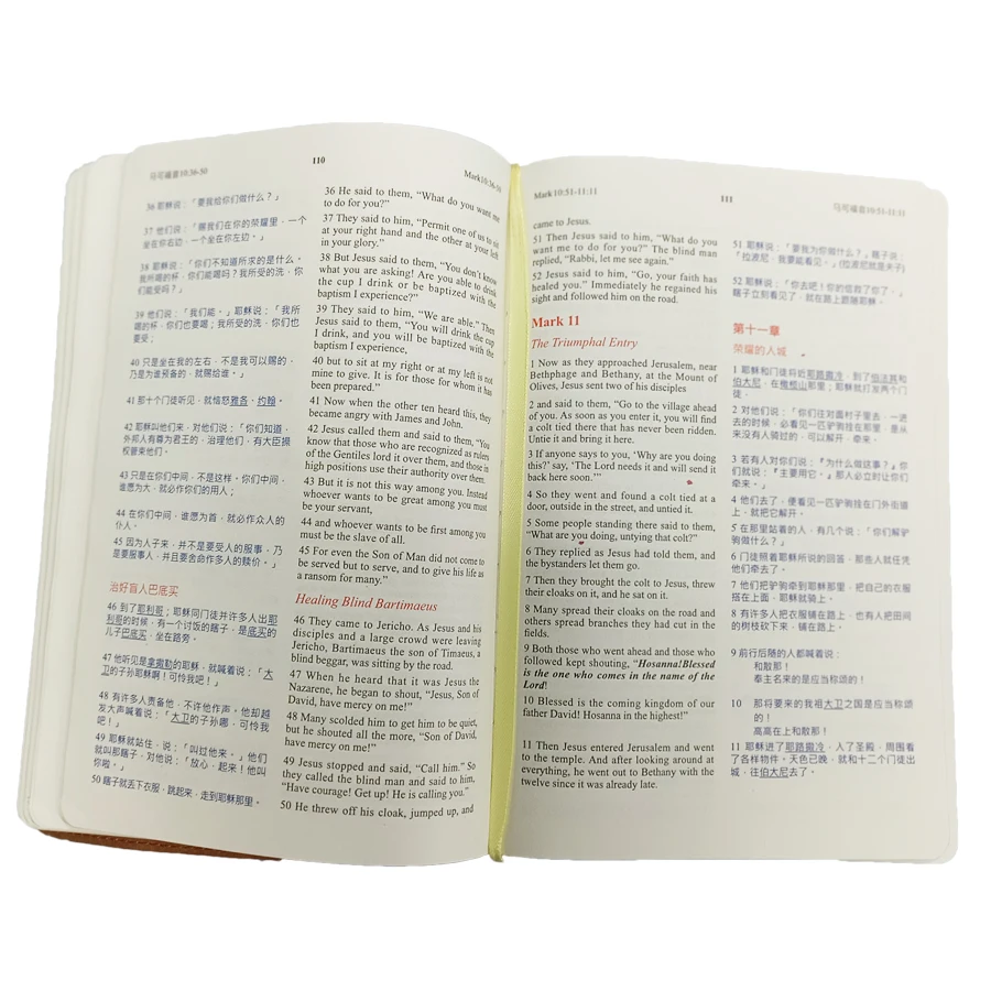 holybible_06
