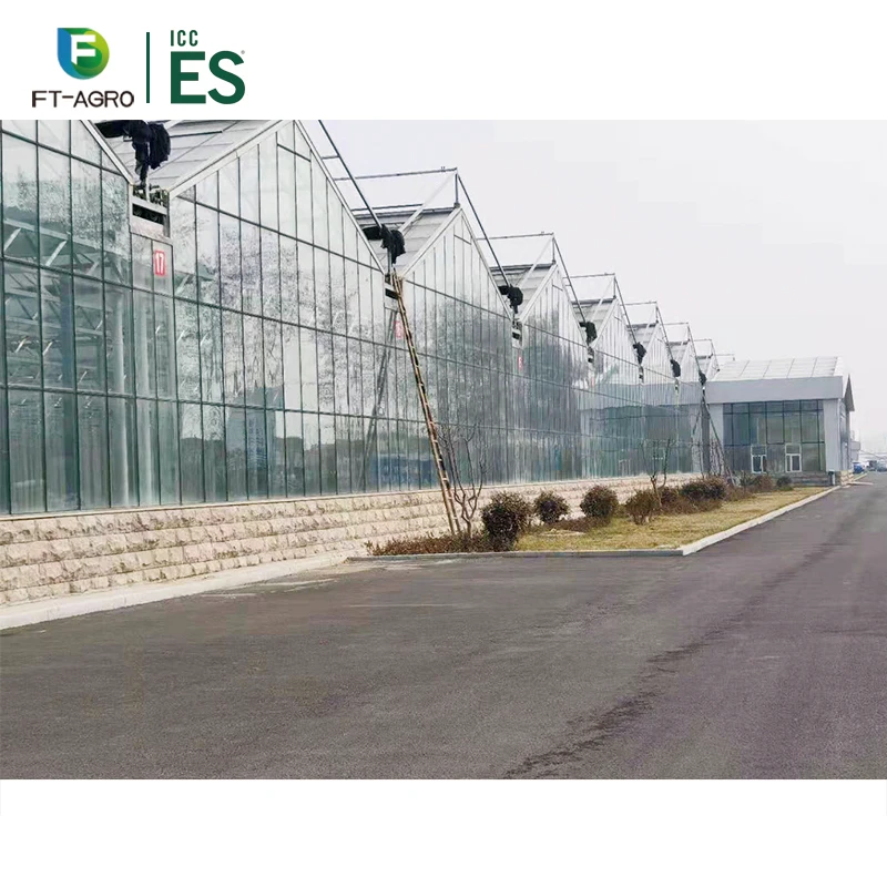 Китайская Высококачественная стеклянная теплица, сельскохозяйственная теплица для посадки роз