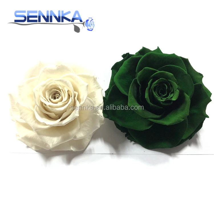 Fresh Cut Flower Holland Long Lasting Royal Blue Preserved Roses from Yunnan Sennka