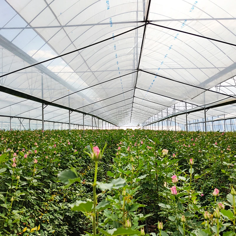 150 Microns Greenhouses Film China Custom For Planting Greenhouse System Green House Agricultural Equipment Growming Crops