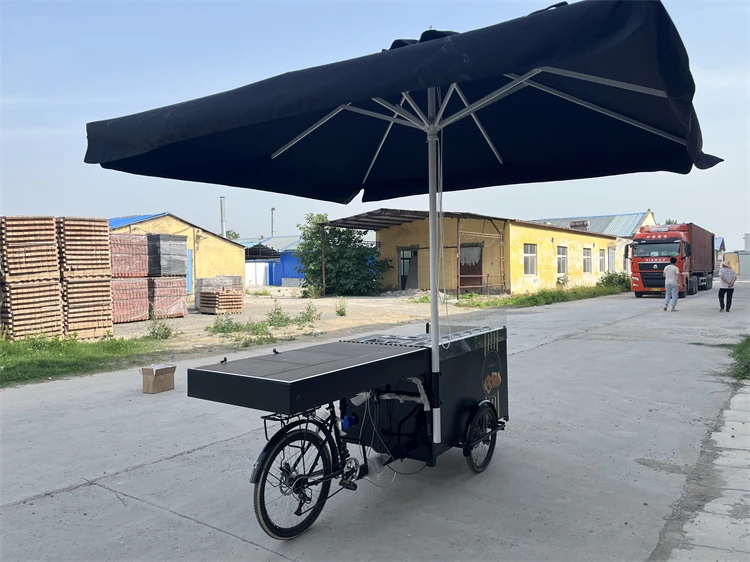 New design Foldable Electric mobile food Bike Folding crepe waffle Carts bar serving Drinks 3 Wheel Bicycle