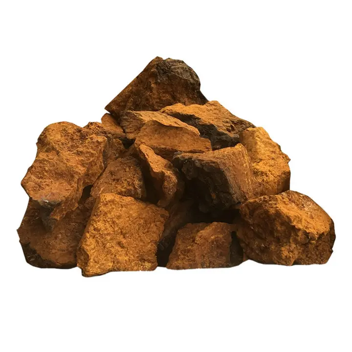 
Chaga extract Inonotus obliquus extract 