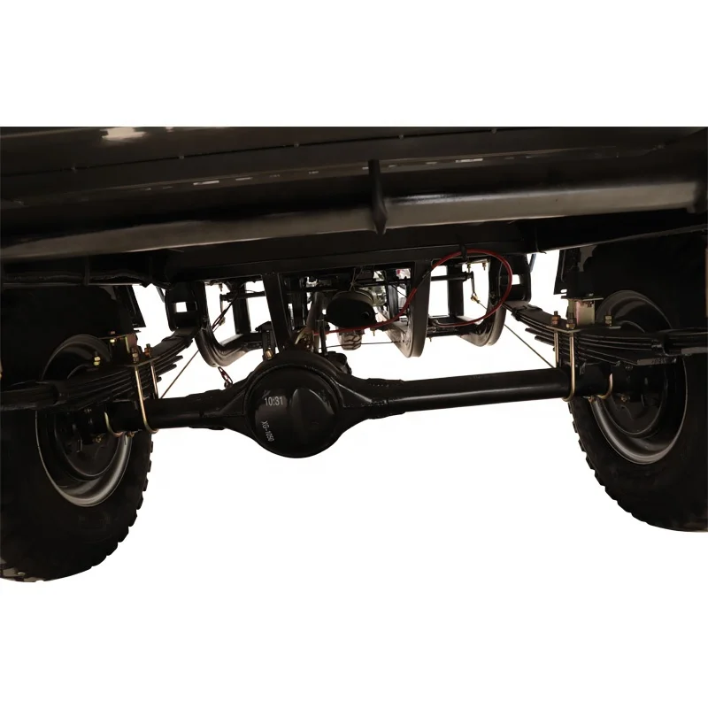 200CC Gasoline Motorized Cargo Tricycle Heavy Loading Trike Three Wheel Motorcycle