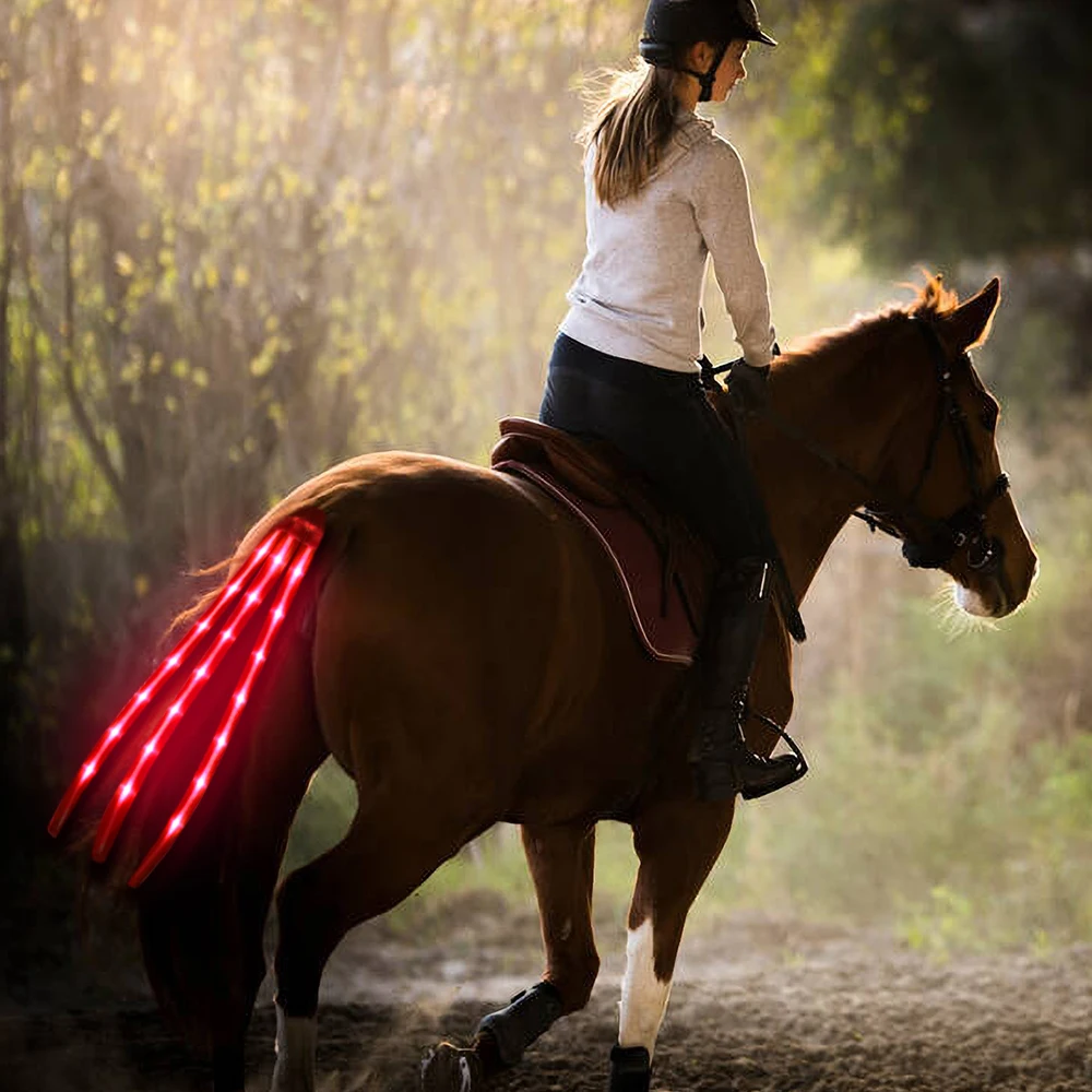 Newest USB Rechargeable LED flashing Horse Tail Lights Lamp