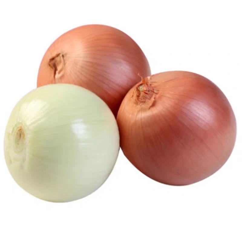 
Bulk Fresh Delicious Fresh Red And 40mm/60mm Yellow Onion CHINA 