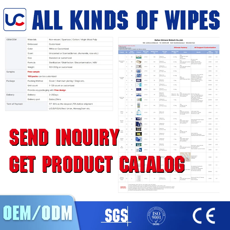 OEM Customized 10 PCS 100% Biodegradable Pet Cleaning Wet Wipe Grooming & Deodorizing Pet Wipes