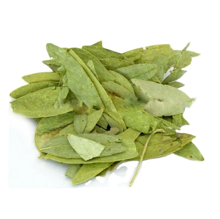 
Herbal Medicinal Materials Folium Sennae Leaf 