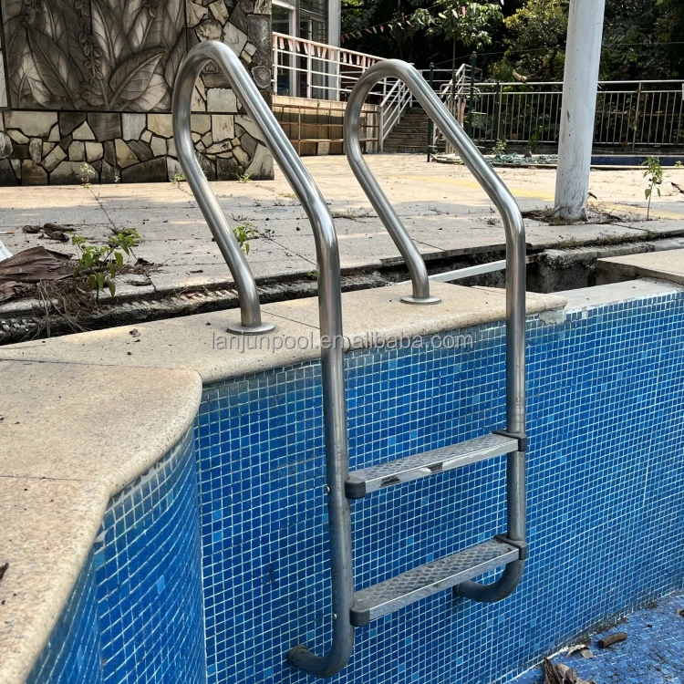 Pool Steel Ladder (3)