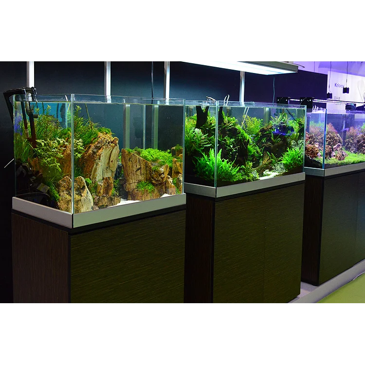 high standard fish tank decorative glass fish tanlk