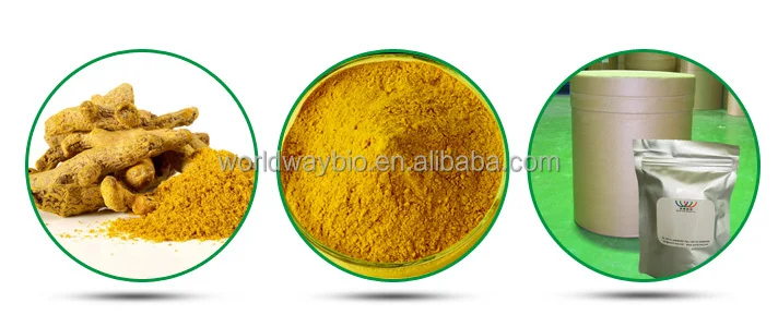 Water Oil Soluble Turmeric Extract Powder Curcumin