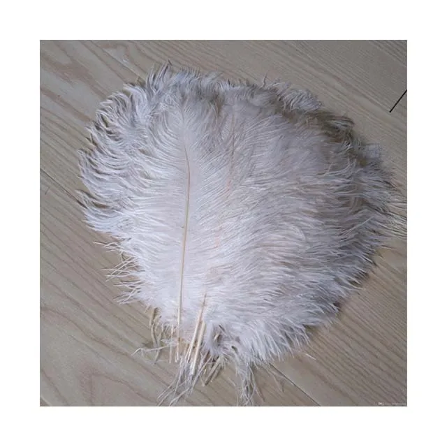 High quality Wholesale SuppliersBulk White Cheap ostrich feather
