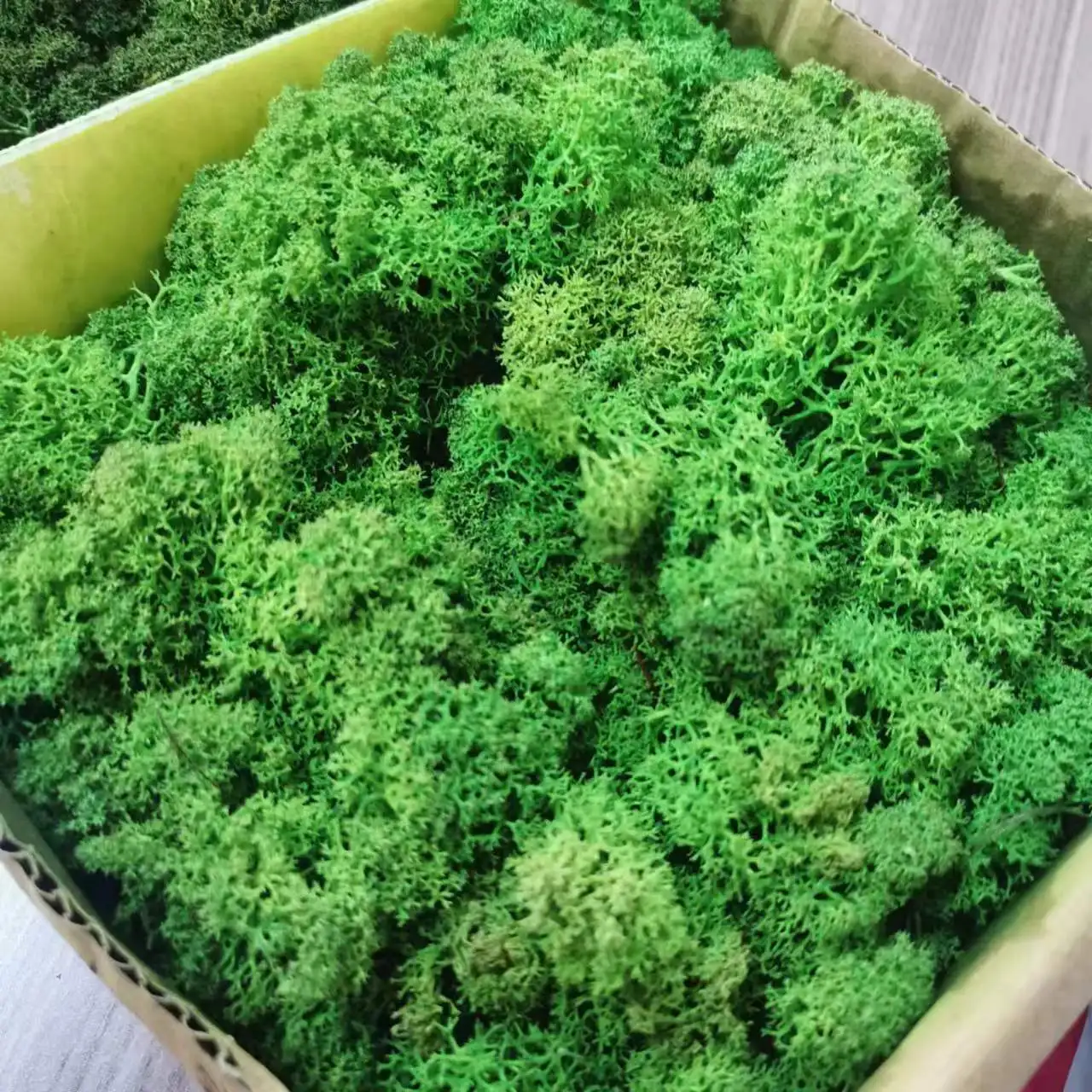 Artificial Greenery Mosses Grass For Landscaping Decoration