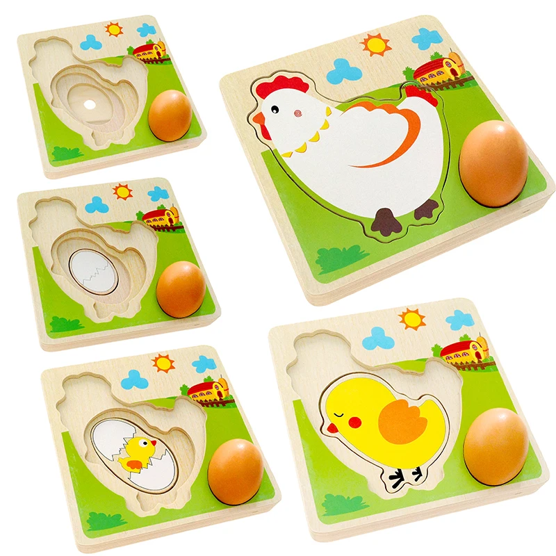 Kids Educational Toys Montessori Early Chick Hen Growing Egg Laying Process Puzzle Jigsaw Kindergarten Preschool Education