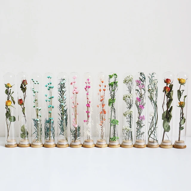 Glass Tube Natural Dry Flower Pampas Gift Set Preserved White Pink Small Dried Flowers With Glass