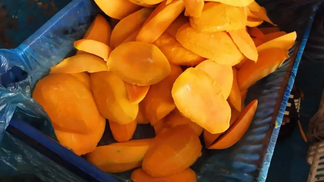 
Egypt Frozen Fruit Cubes Mango Frozen Dices Sweet Frozen Mango Manufacturer 