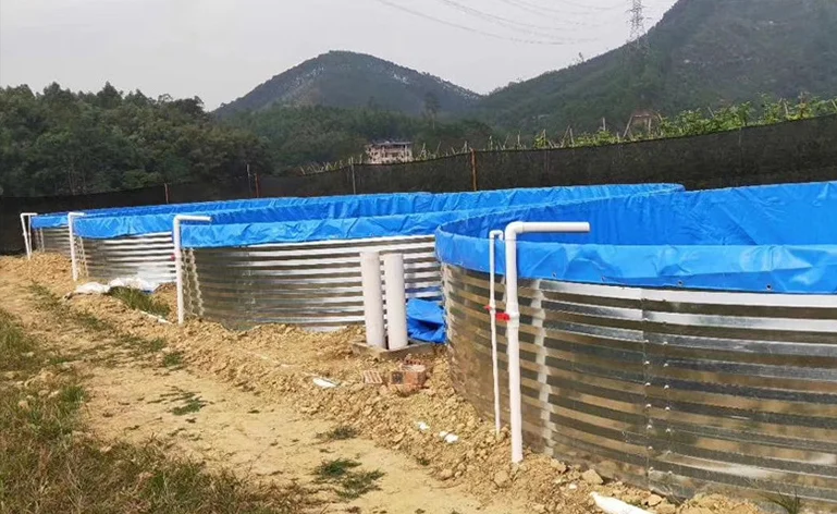 Tilapia Fish Growing Container Tank10000liter Water Tank Fishing Pond Plastic Pond For Fish Farming Tank