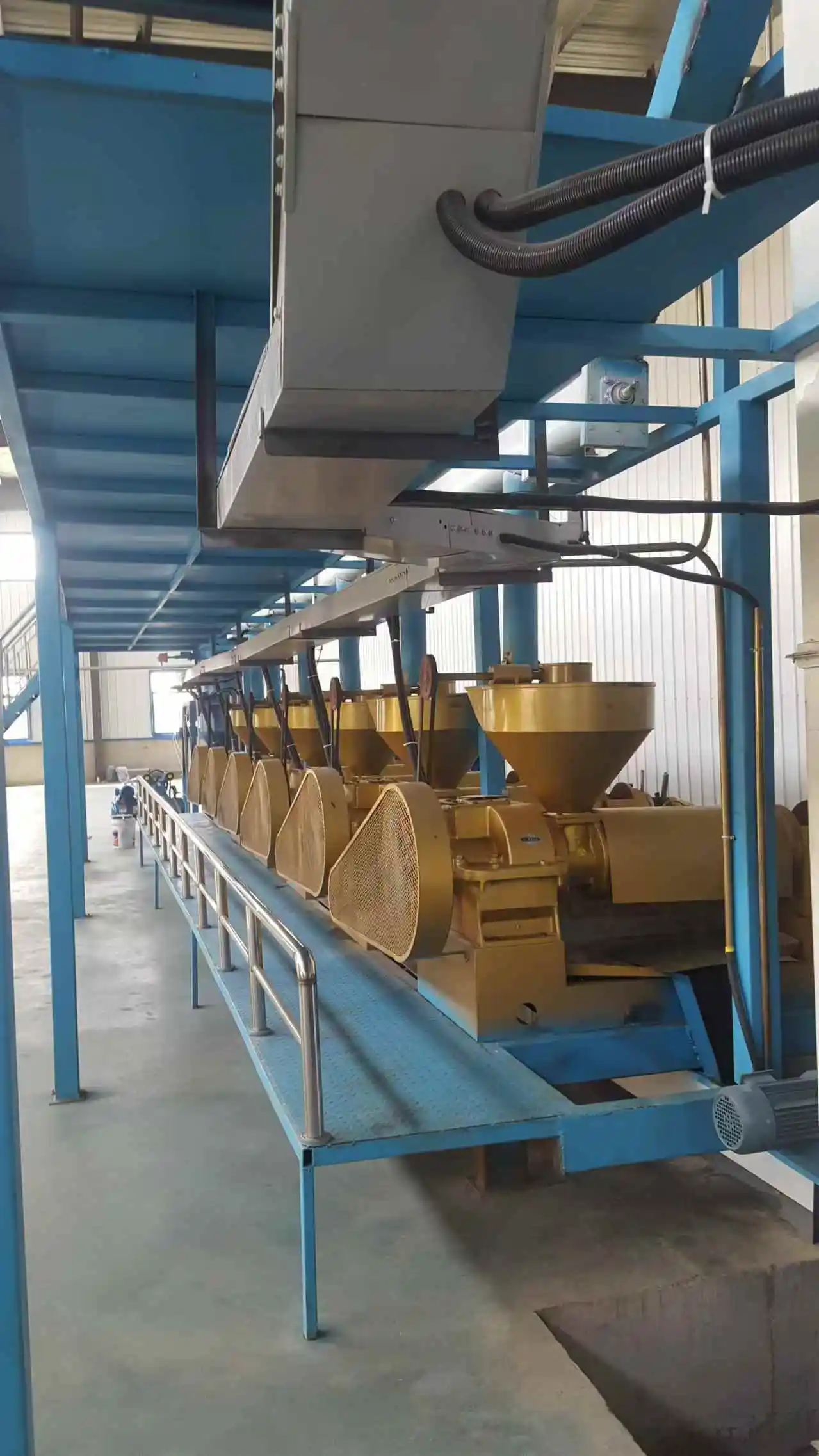 High quality and high efficiency 50-100t/D Sesame Pressing Plant