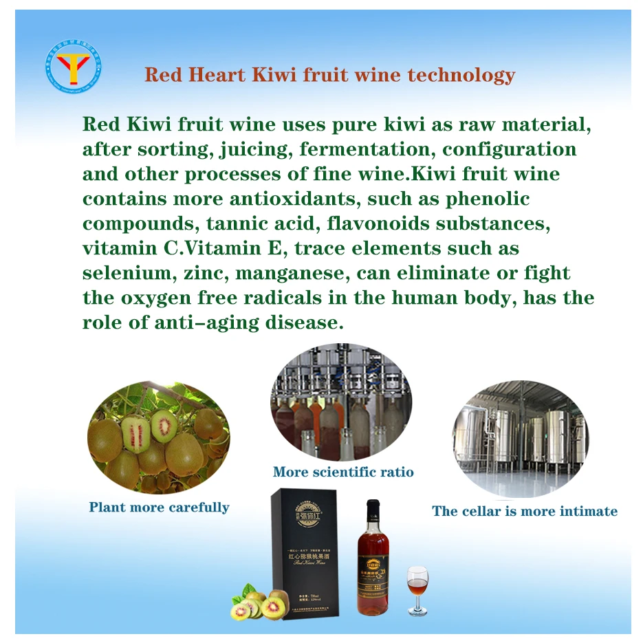 
rich in vitamin C red kiwi fruit wine low alcohol fruit wine pure fermentation tipsy wine Hand gift box taste mellow 