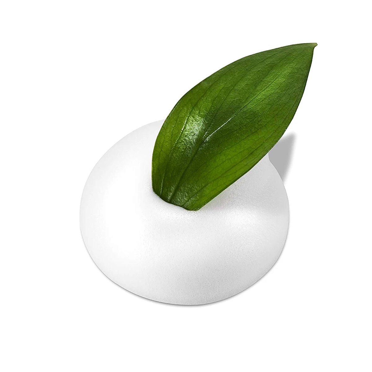 Vegan Gentle Brightening Moisturiser Oil Control Face Cleanser Foam Daily Cleansing Mousse With Coconut