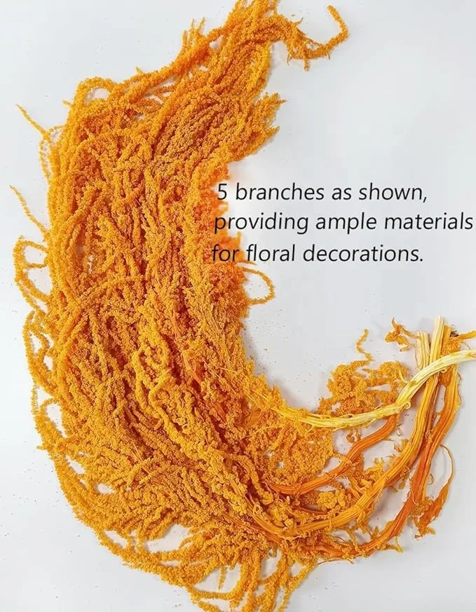 Natural Preserved amaranthus,  long string grains flower for wedding wall hanging decoration