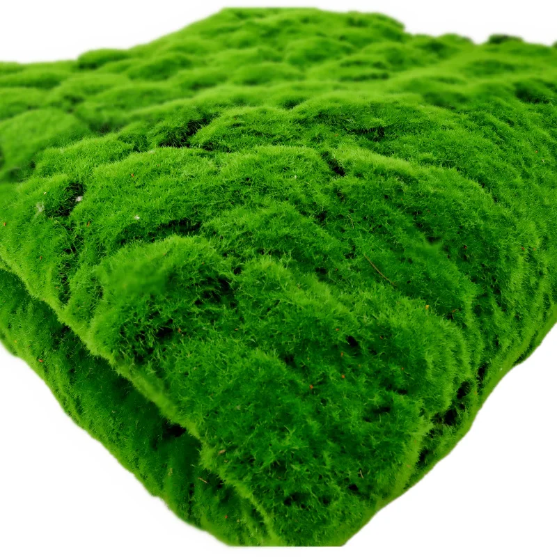 Wholesale Artificial Moss Carpet Indoor Decoration Plastic Synthetic Putting Green Artificial Turf Moss Mat