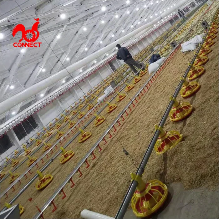 HIGHTOP QUALITY Chicken Floor automatic poultry farming feeding and drinking system for chicken house equipment