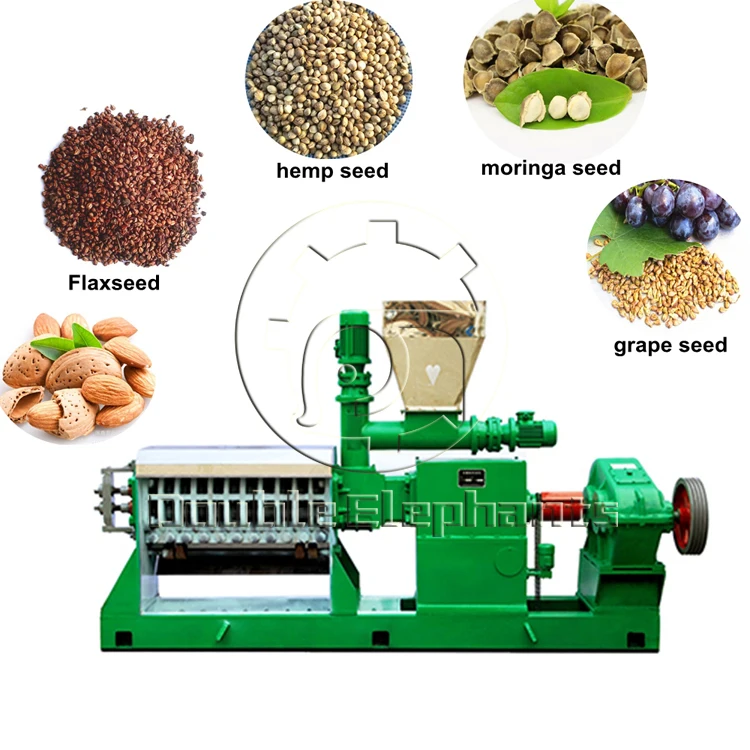 20t/D Twin Screw cold screw press oil machine cold press for oil seed peanut oil cold press