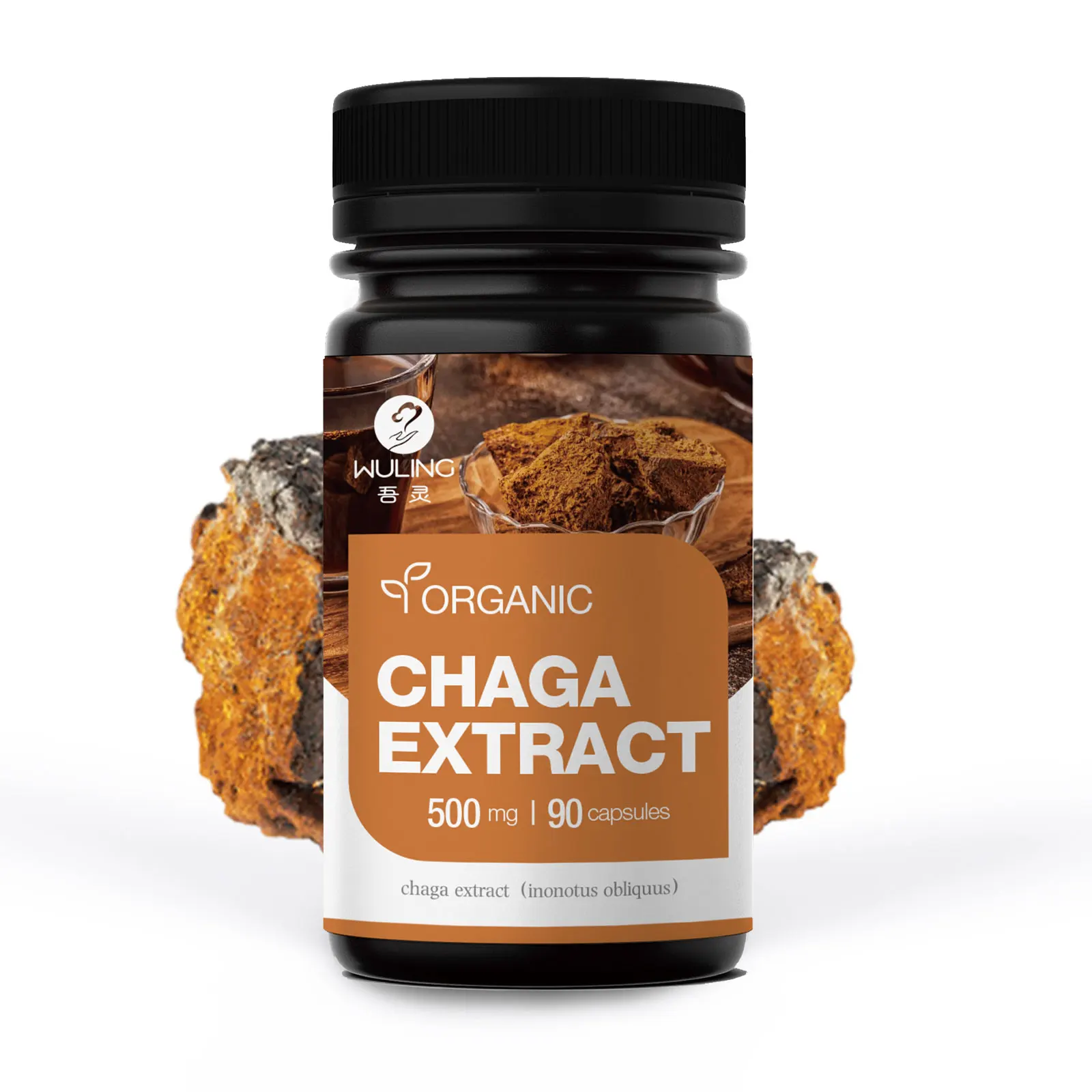 OEM лидер продаж дикий Сибирский гриб Чага веганская русская капсула