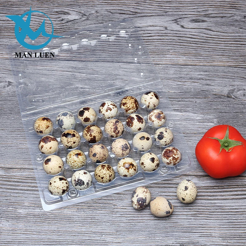 custom  various size disposable  plastic egg crate tray egg box quail egg tray