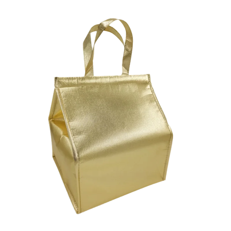 Wholesale Waterproof Insulated Food Delivery Bag Thermal Food Pizza Bag Picnic Lunch Cooler Bag